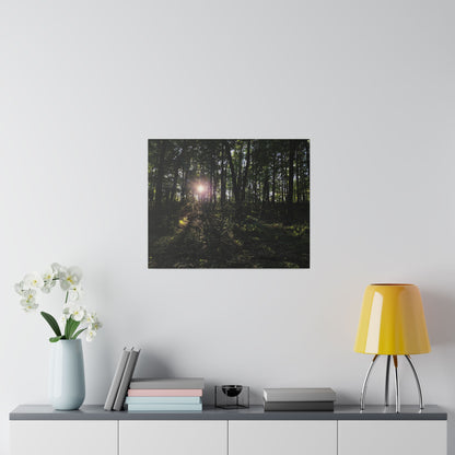 Woodland Forrest Matte Canvas, 0.75" Depth