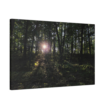 Woodland Forrest Matte Canvas, 0.75" Depth