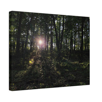 Woodland Forrest Matte Canvas, 0.75" Depth