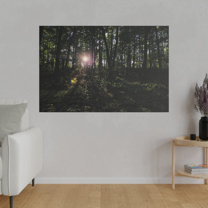 Woodland Forrest Matte Canvas, 0.75" Depth