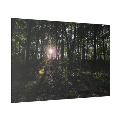 Woodland Forrest Matte Canvas, 0.75" Depth