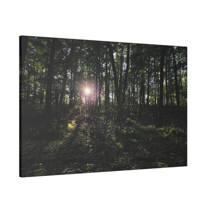 Woodland Forrest Matte Canvas, 0.75" Depth