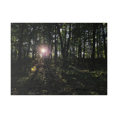 Woodland Forrest Matte Canvas, 0.75" Depth