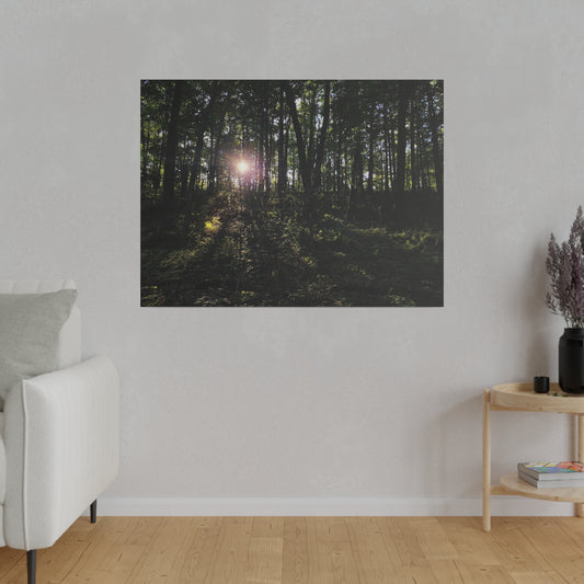 Woodland Forrest Matte Canvas, 0.75" Depth