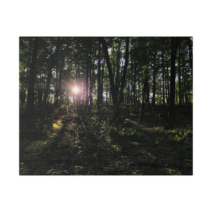 Woodland Forrest Matte Canvas, 0.75" Depth