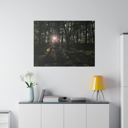 Woodland Forrest Matte Canvas, 0.75" Depth