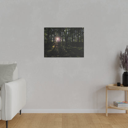 Woodland Forrest Matte Canvas, 0.75" Depth