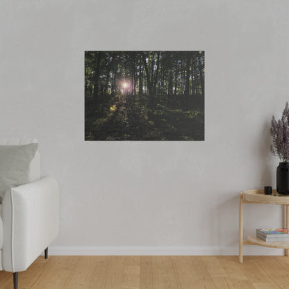 Woodland Forrest Matte Canvas, 0.75" Depth