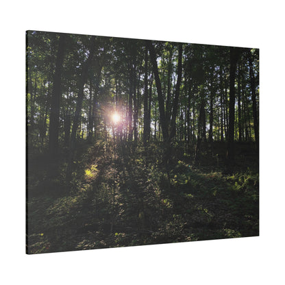 Woodland Forrest Matte Canvas, 0.75" Depth