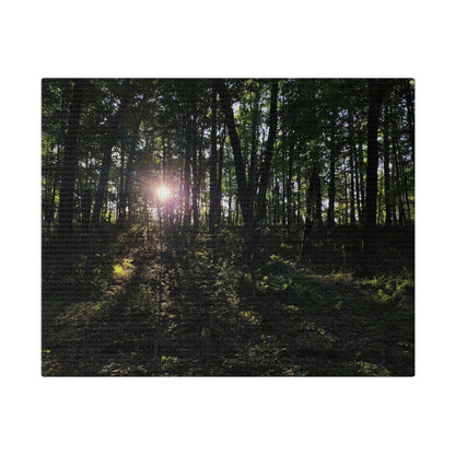 Woodland Forrest Matte Canvas, 0.75" Depth