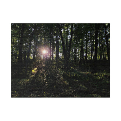 Woodland Forrest Matte Canvas, 0.75" Depth